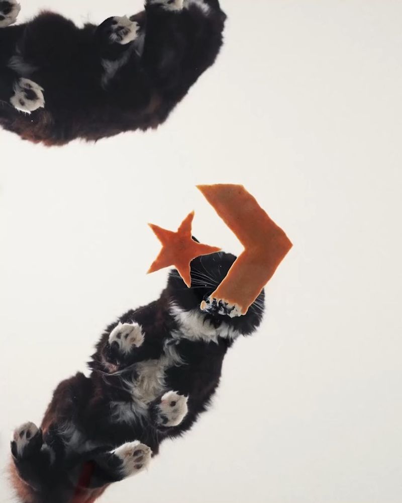 CONVERSE - MAKE IT